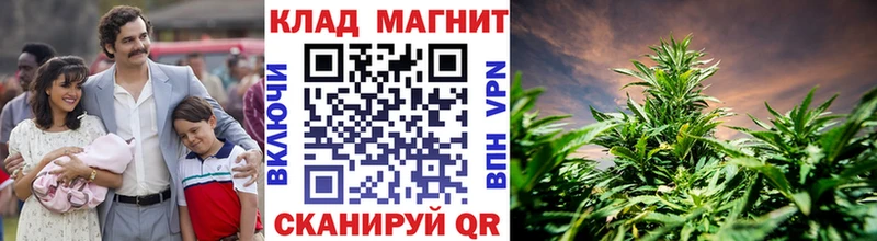 Где купить наркоту Йошкар-Ола Кокаин  Меф мяу мяу  Конопля 