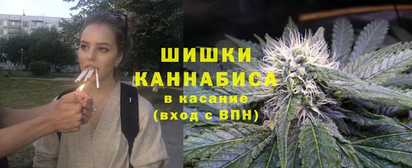 ГАЛЛЮЦИНОГЕННЫЕ ГРИБЫ Тайга