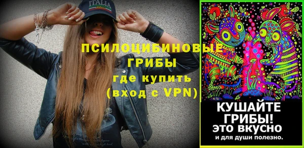 винт Елизово