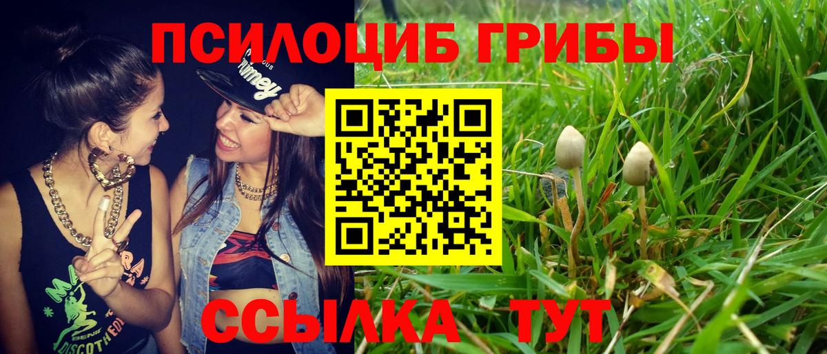 Галлюциногенные грибы мицелий  Йошкар-Ола 