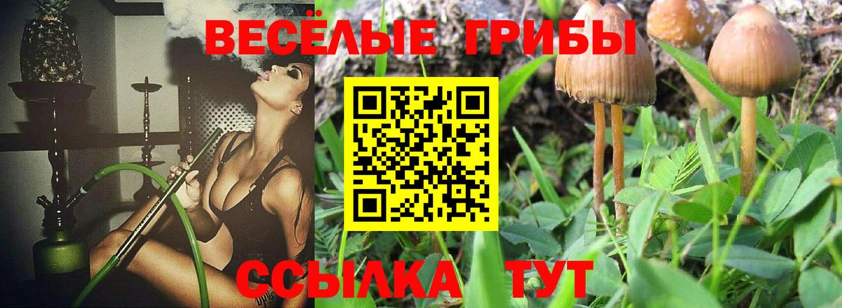 Галлюциногенные грибы MAGIC MUSHROOMS Йошкар-Ола
