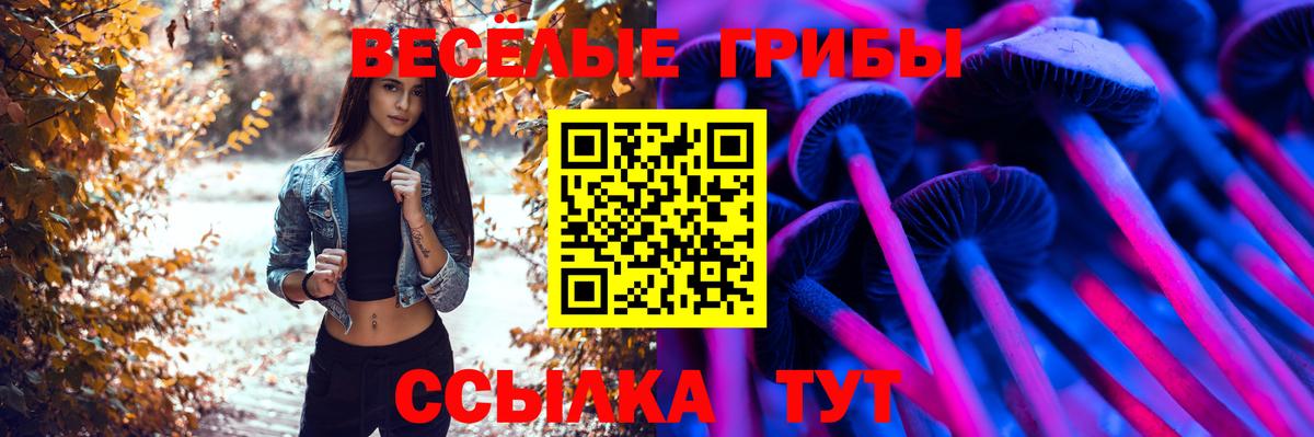 Псилоцибиновые грибы GOLDEN TEACHER  Галлюциногенные грибы ЛСД  Вход с VPN  Йошкар-Ола 